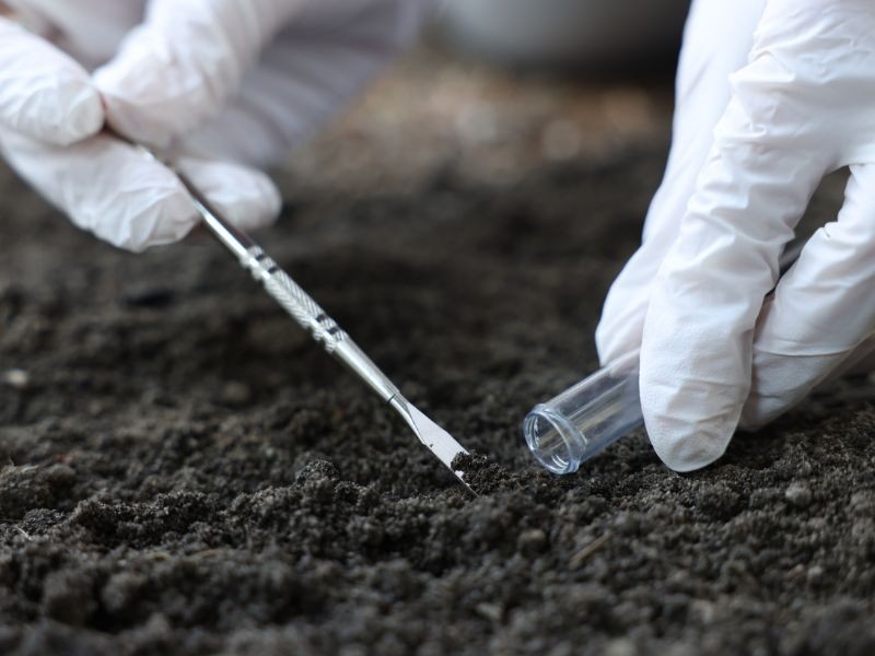 Análise de Solo e Defensivos Agrícolas - Guia Essencial Para Produtores